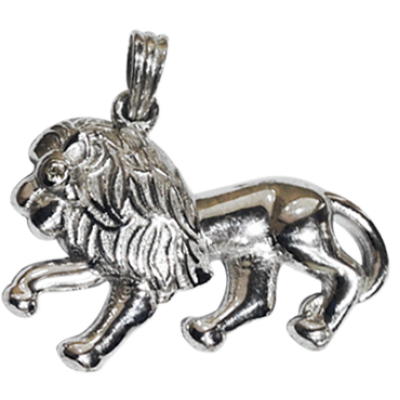 Protective Lion Charm
